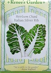 Italian Sliver Rib Chard Seeds