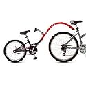 Allycat Bicycle Trailer, by InStep