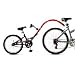Allycat Bicycle Trailer, by InStep