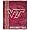 Virginia Tech Hokies