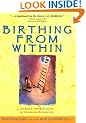 Birthing from within: An Extra-Ordinary Guide to Childbirth Preparation