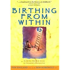 Birthing from within: An Extra-Ordinary Guide to Childbirth Preparation