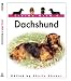 Living with a Dachshund
