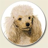 Poodle Auto Coaster For Car