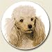 Poodle Auto Coaster, Single Coaster for Your Car