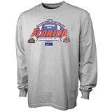 Nike Florida Gators Ash Youth Team Logo Long Sleeve T-shirt