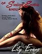 The Sizzling Erotica Bundle