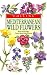 Meditteranean Wildflowers (Collins Field Guides)