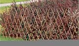 Willow Expandable Fencing - 3