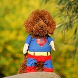 Alfie Pet by Petoga Couture - Superhero Costume Superman - Size: M