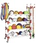 Champion Sports Equipment Cart