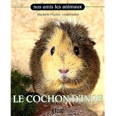 Le Cochon d'inde