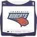 kitchen appliance reviews Hannspree's NBA Bobcats XXL 15-Inch LCD Television