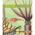 Sea Life (Dover Pictura) by Dover