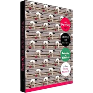 Les Deschiens : Splendeur et gloire des Deschiens - Coffret 2 DVD