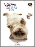 Katzen - Hanadeka 2012