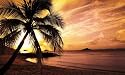 BEACH CANVAS ART PRINT PALM TREE BOX CANVAS 34 X 20 INCHES READY TO HANG