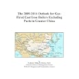 The 2009-2014 Outlook for Gas-Fired Cast Iron Boilers Excluding Parts in Greater China'