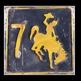 Let The 7Horse Run