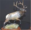 Caps Mountain Bull
