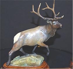 Caps Mountain Bull