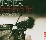 Children of the Revolution: An Introduction to Marc Bolan