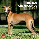Italian Greyhounds 2013 Calendar