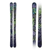 Line Skis Chronic Skis 2012 - 173
