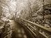Upper Peninsula II by Monte Nagler. Size 17.00 inches width by 13.00 inches height. High Quality Art Poster Print