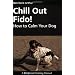 Chill Out Fido! - How to Calm Your Dog