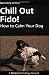 Chill Out Fido!: How to Calm Your Dog (Dogwise Training Manual)