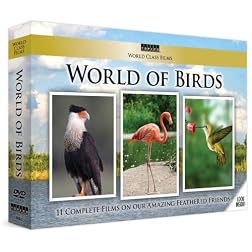 World Class Films: World of Birds