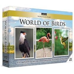 World Class Films: World of Birds