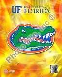 University of Florida Gators 2008 Logo , 20x24
