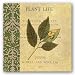 Botany Principles II by Paula Scaletta 8x8 Art Print Poster