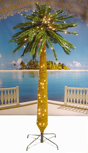 6′ Tropical Lighted Palm Tree With Warm Clear LED Lights