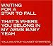 Falling Star