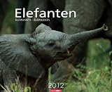 Produkt-Bild: Elefanten 2012