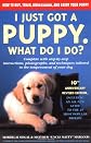 I Just Got a Puppy, What Do I Do?: How to Buy, Train, Understand, and Enjoy Your Puppy