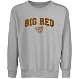 NCAA Cornell Big Red Youth Steel Logo Arch Crew Neck Fleece Sweatshirt