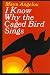 I Know Why the Caged Bird Sings