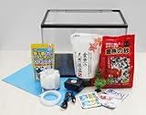 【Amazon 限定】 金魚健康飼育セット