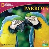 2014 national geographic parrots deluxe wall