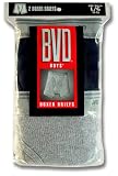 BVD Boy's 2-pack Extended Legs Boxer Brief #2VEL71B