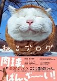 ねこブログ 画像