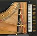 Steinway by Ronald Ratcliffe