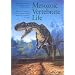 Book - Dinosaurs: Encyclopedias