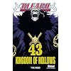 Bleach, Tome 43 :