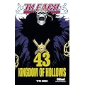 Bleach, Tome 43 :