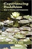 Experiencing Buddhism: Ways Of Wisdom And Compassion (Faith Meets Faith Series)